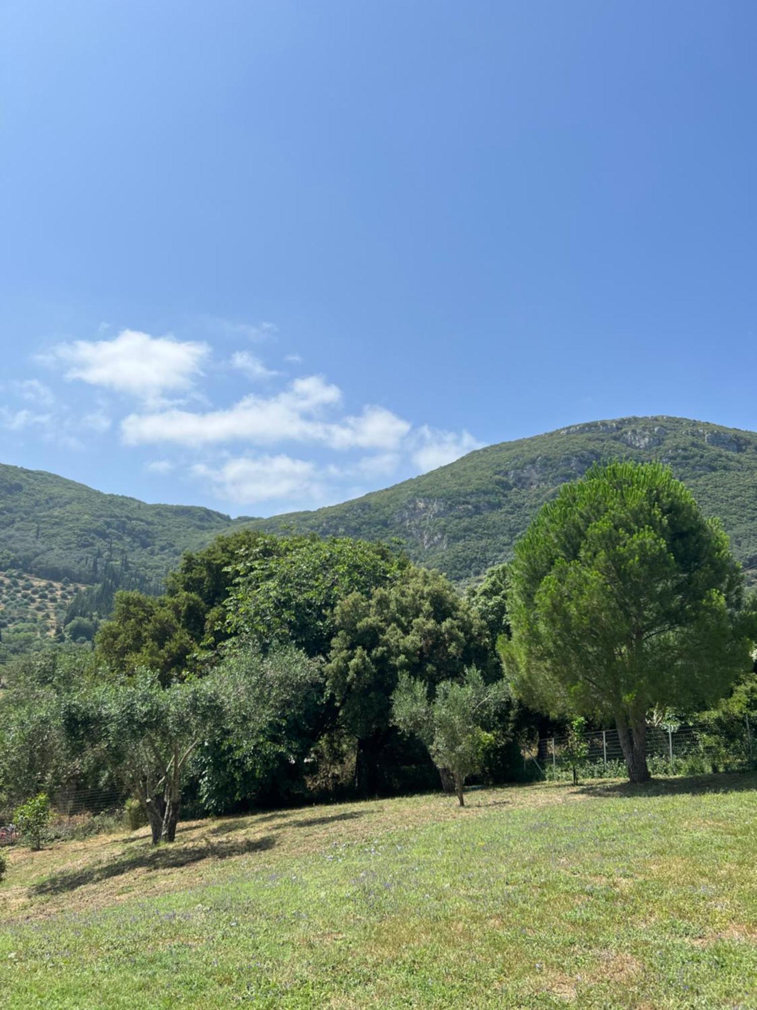 Villa Alexakis Δουκάδες Εξωτερικό φωτογραφία