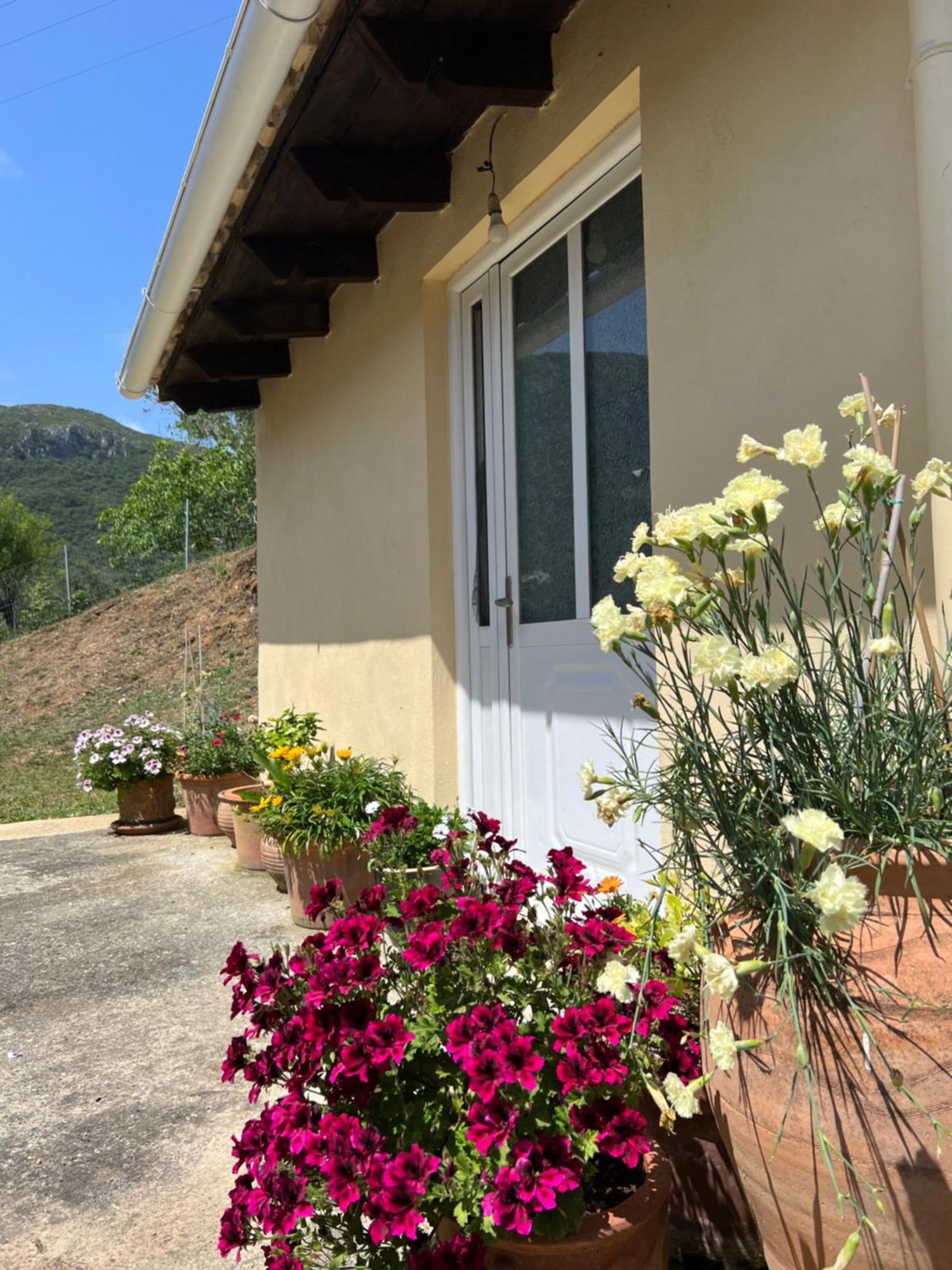 Villa Alexakis Δουκάδες Εξωτερικό φωτογραφία